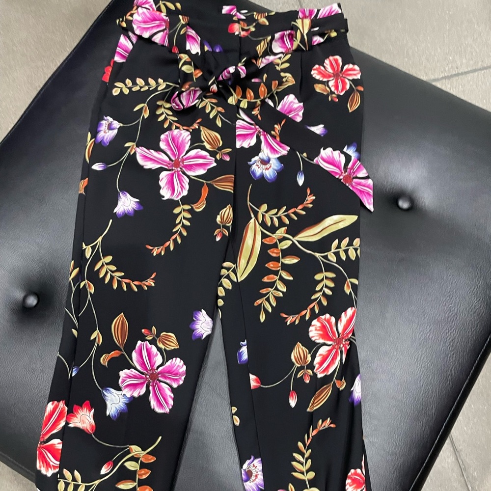 Express dress pant